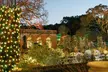 Holiday Lights at Filoli - Second Medium