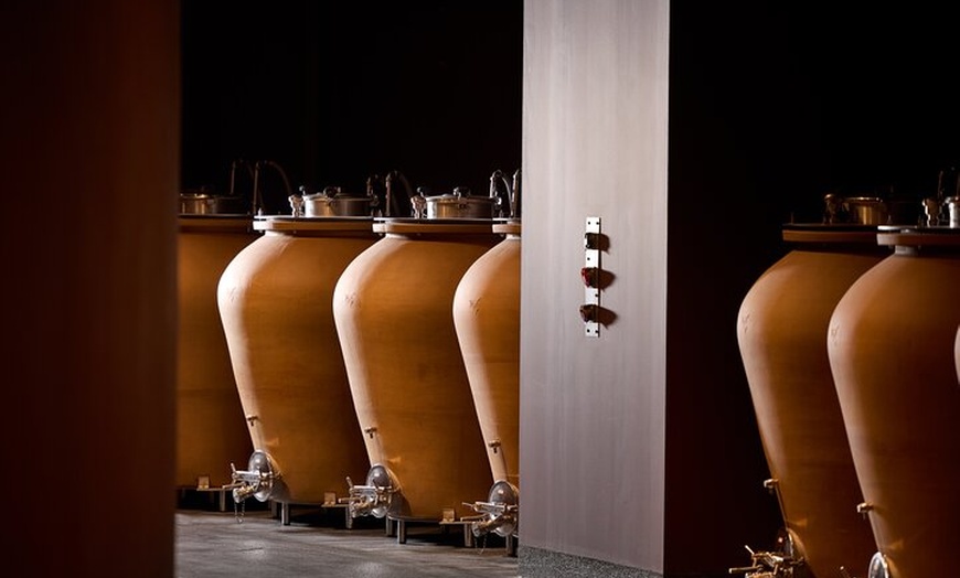 Image 4: Visite Privée Power Trio : St Julien, Pauillac & St Estèphe