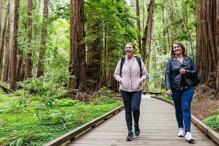 Muir Woods and Sausalito (Return by Bus or Ferry)