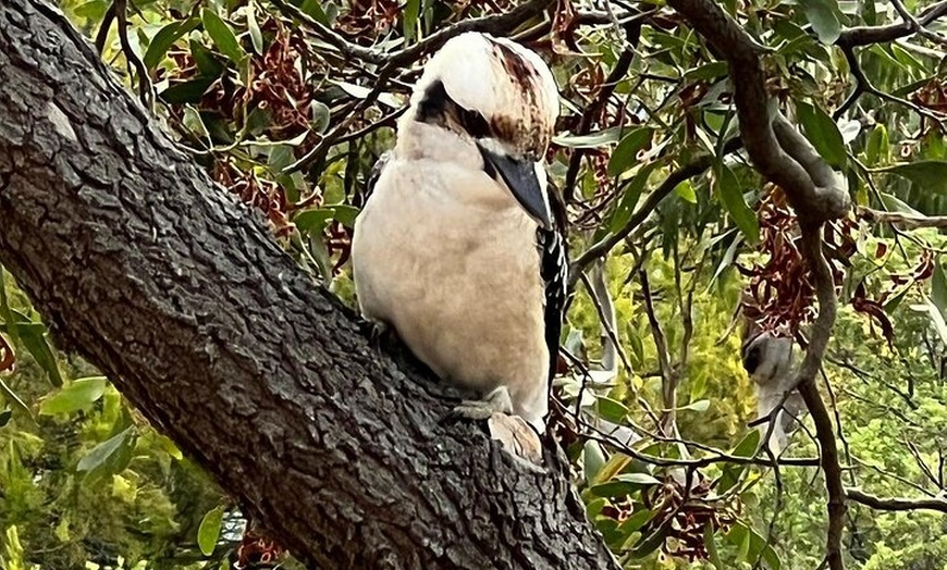Image 7: Melbourne: Private Wilson Promontory National Park Day Tours
