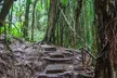 Hilo Volcano and Waterfall Discovery Tour with Local Insights - Second Medium