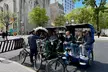 Best of Central Park Tours by Pedicab - Stories & Photos - Second Medium