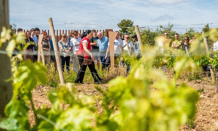 Image 26: Clase magistral de acceso y degustación exclusiva de bodegas secret...