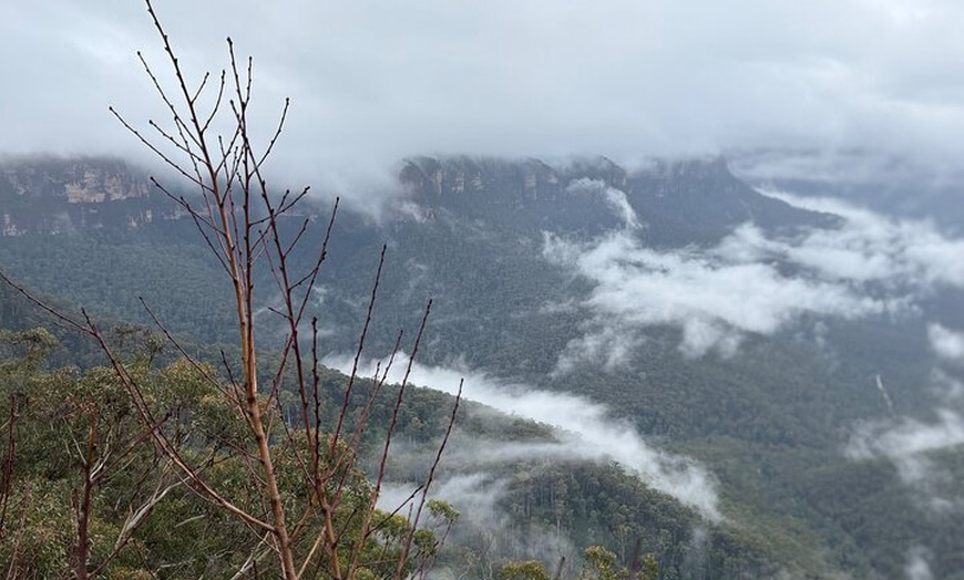 Image 9: Grand Pacific Drive and Southern Highlands Tour