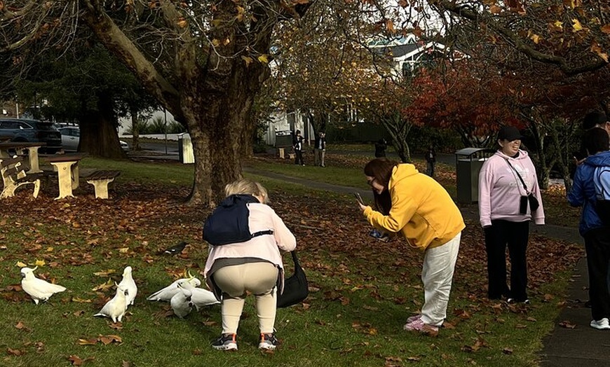 Image 11: Blue Mountains Day Trip + Sydney Zoo +Three Sisters + Waterfalls