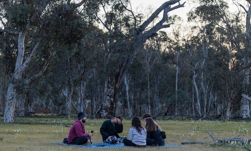 Image 26: Australian Animal Night Safari