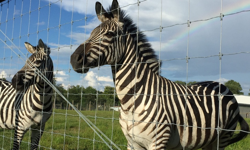 Image 2: $30 For $60 Worth Of A Family 4 Pack For Zoo Admission