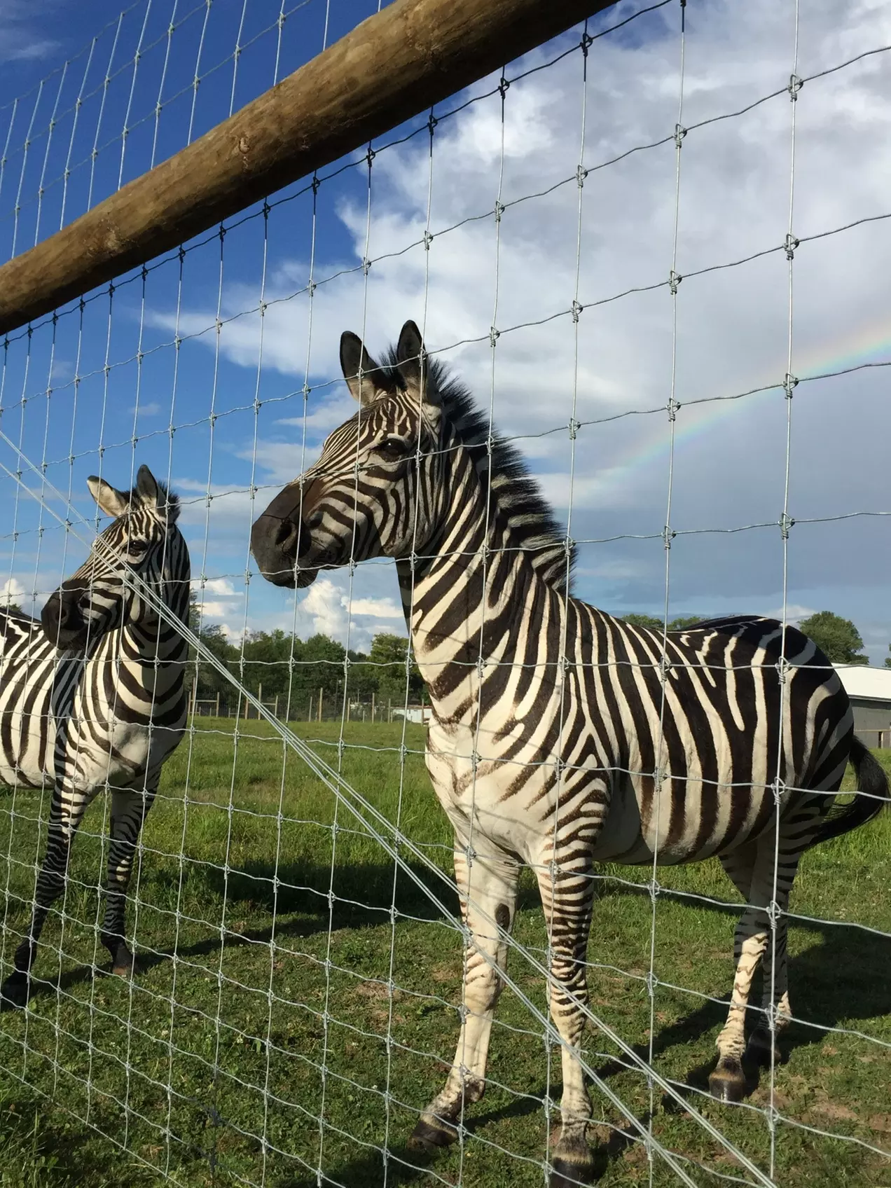 $30 For $60 Worth Of A Family 4 Pack For Zoo Admission