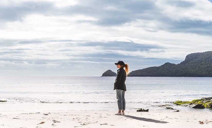 Image 14: Bruny Island Food, Sightseeing, Guided Lighthouse Tour & Lunch