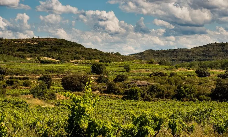 Image 8: Visita a bodega con Cata de 3 Vinos y Aperitivos