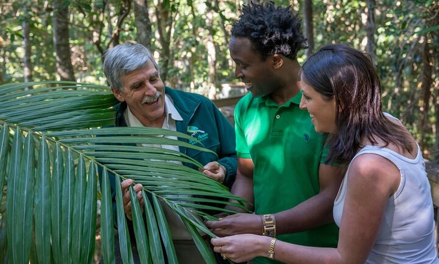 Image 4: Sea Acres Rainforest Boardwalk Tour