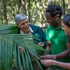 Image 4: Sea Acres Rainforest Boardwalk Tour