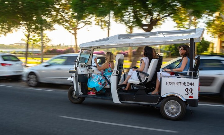 Image 10: Tour de Bienvenida a Sevilla en Eco Tuk Tuk Privado