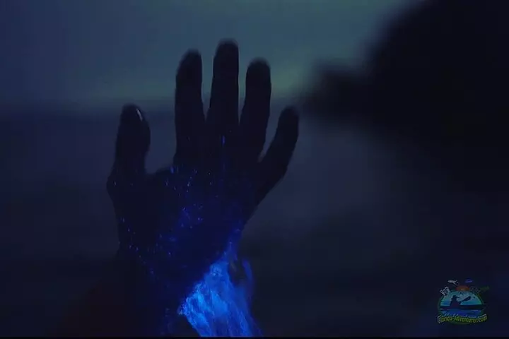 Florida Bioluminescence Kayaking Tour (Titusville)