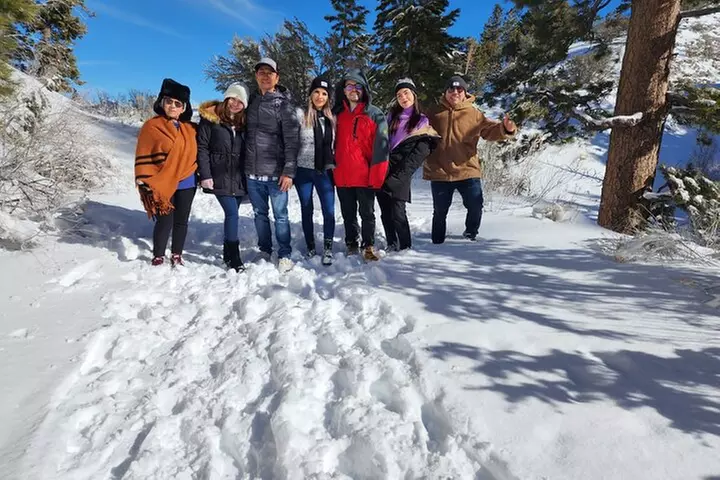 Mount Charleston Tour from Las Vegas