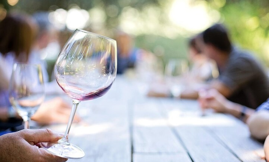 Image 5: Hunter Valley Tours from Sydney : Wine, Oyster & Dumpling Escape