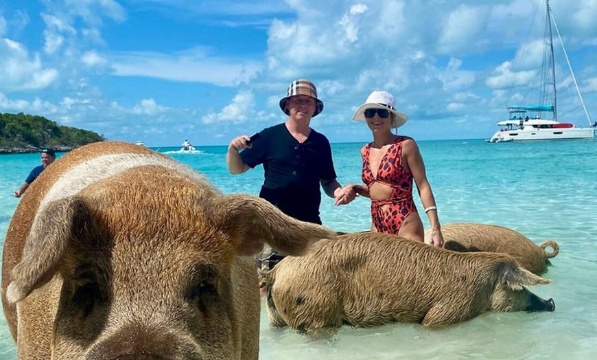 Image 15: Ultimate Exuma Cays Experience: Full-Day Group Tour from Nassau