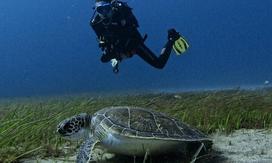 Image 7: Curso de buceo Open Water en Tenerife