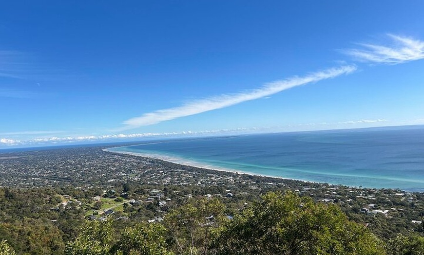 Image 2: Melbourne Mornington Peninsula Private Tour include Tickets