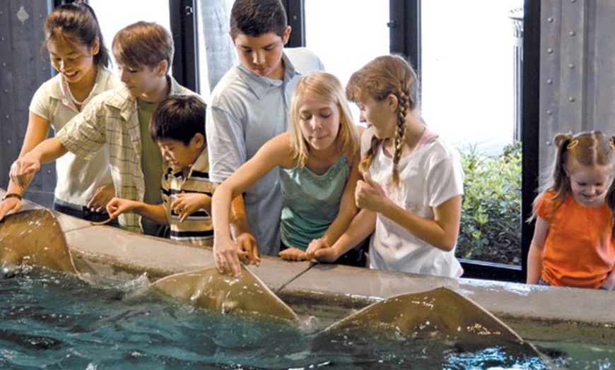 Houston City Tours - Houston City Tours | Groupon