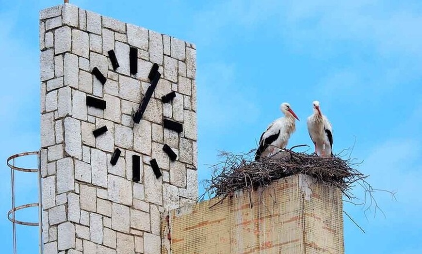 Image 12: Alcala de Herares: Roma hasta su legado como Patrimonio UNESCO
