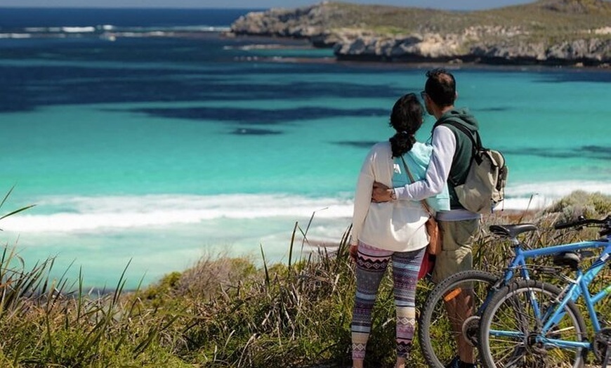 Image 5: Quokkas Delight Rottnest Island