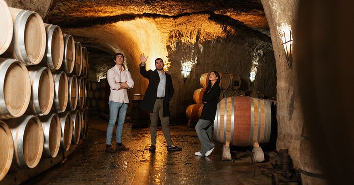 Experiencia gastronómica de vinos y cena de Rioja en Donostia