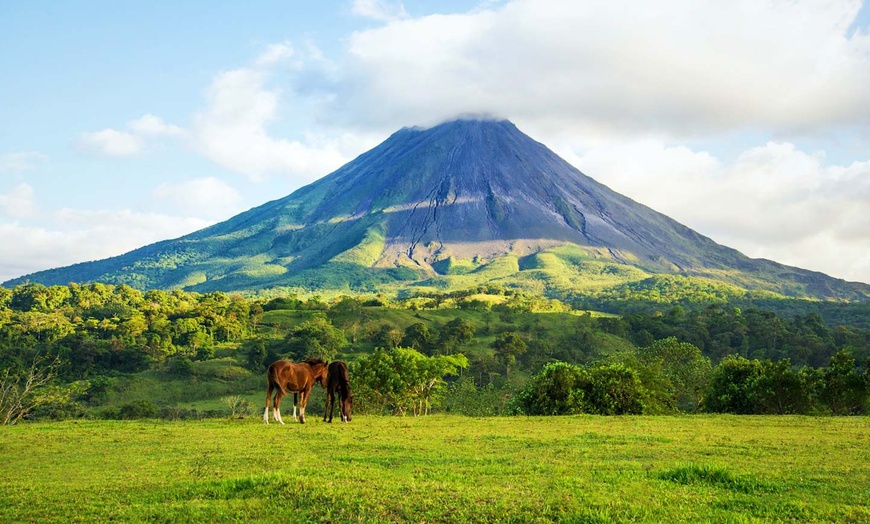 Image 9: ✈ COSTA RICA | San José - De la jungle aux côtes du Pacifique - Aut...