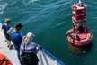 West Harbor LA 45-Minute Narrated Harbor Cruise of San Pedro - Second Medium