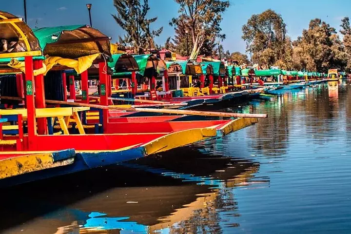 Xochimilco 5 Hour Boat Ride and UNAM University Tour - Primary Image