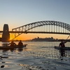 Image 9: Sydney Sunrise Kayak Couples Tour with Opera House Views