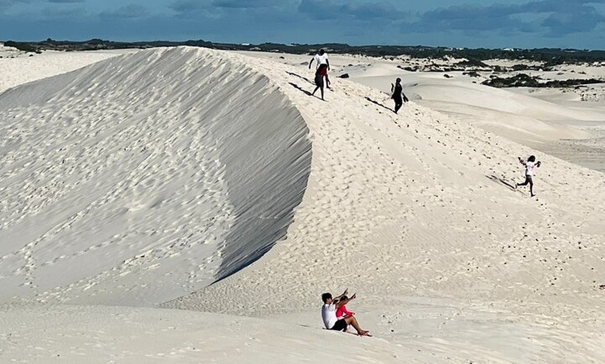 Image 15: 4WD Pinnacles Desert Turquoise Coast and Sand Boarding Adventure