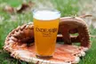 5% Cash Back at Endeavor Brewing Company - Second Medium