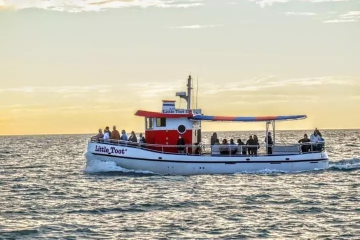 Little Toot Dolphin Adventure at Clearwater Beach