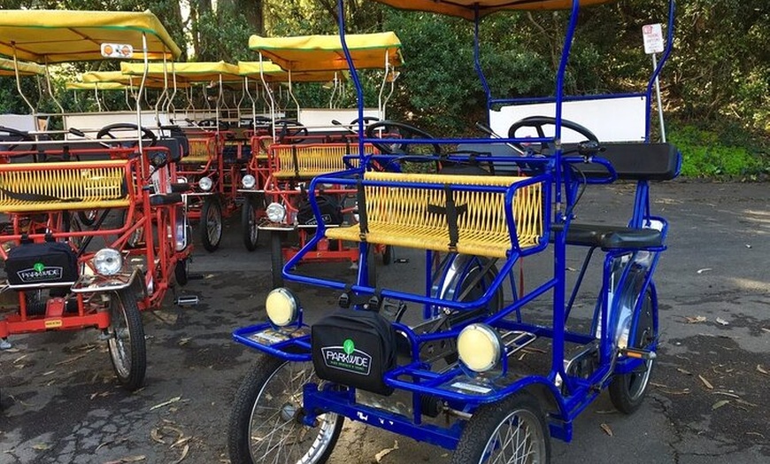 Image 2: San Francisco: Scenic Surrey Ride Through Golden Gate Park