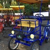 Image 2: San Francisco: Scenic Surrey Ride Through Golden Gate Park