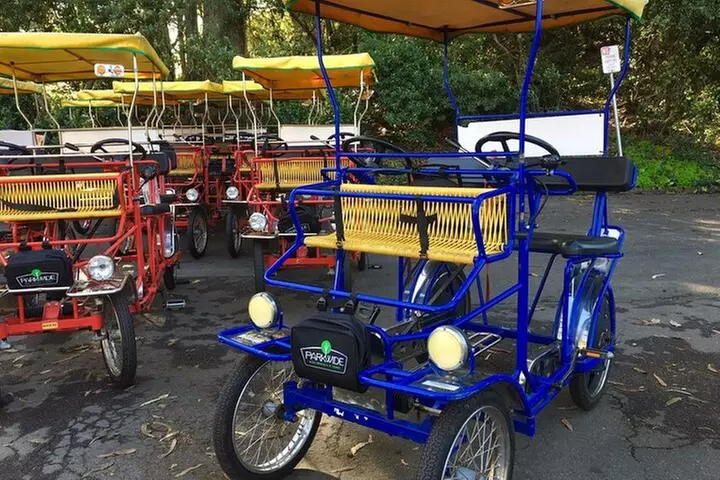 San Francisco: Scenic Surrey Ride Through Golden Gate Park