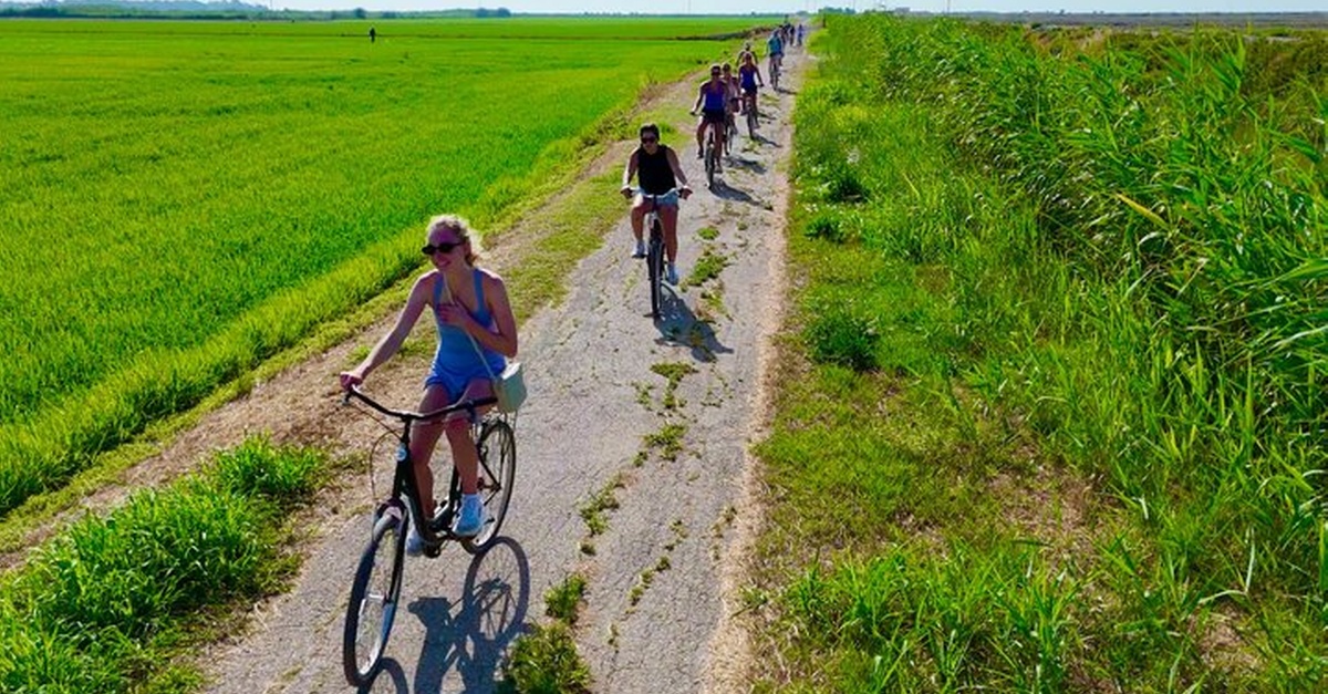 Alquiler de bicicletas para explorar el Delta del Ebro en Tarragona