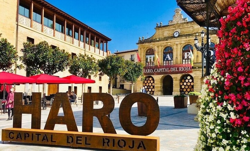 Image 4: Excursión de un día a Haro, Laguardia y dos bodegas de Rioja desde ...