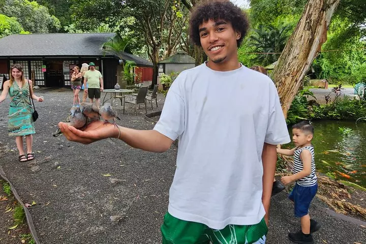 Byodo In Temple, Waimea Botanical Garden-Waterfall: Includes Fees