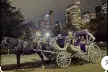 Luxury Horse and Carriage Rockefeller and Christmas lights tour - Second Medium