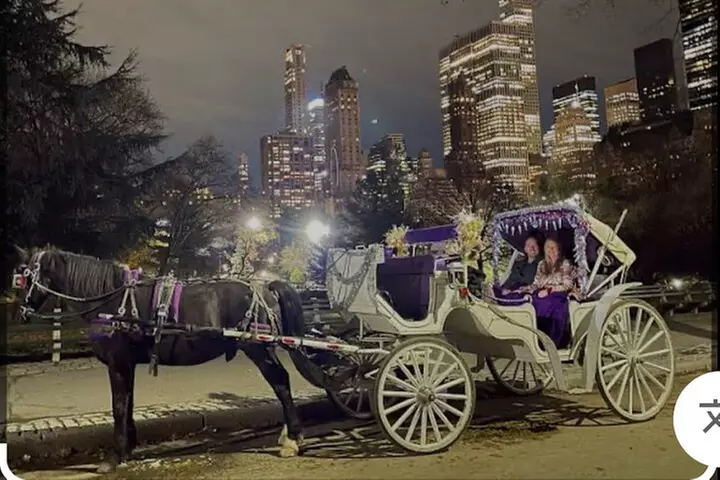 Luxury Horse and Carriage Rockefeller and Christmas lights tour
