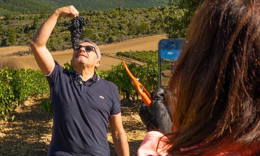 Image 39: Clase magistral de acceso y degustación exclusiva de bodegas secret...