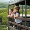 Image 3: Port Lympne Day Ticket