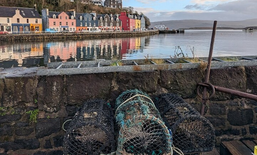 Image 9: 2 Day Private Tour of Mull, Iona and the Scottish Highlands