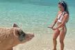 Swimming Pigs Encounter and Rose Island Beach Day Adventure - Second Medium