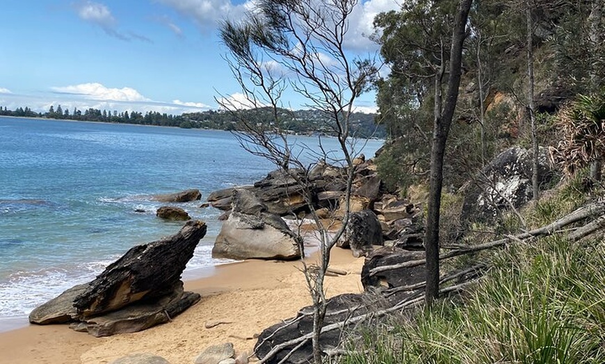 Image 18: Sydney: Ku-ring-gai Chase National Park with Hike, Swim, Picnic