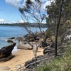 Image 18: Sydney: Ku-ring-gai Chase National Park with Hike, Swim, Picnic