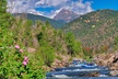 Raft the Beginner stretch on Clear Creek! - Second Medium
