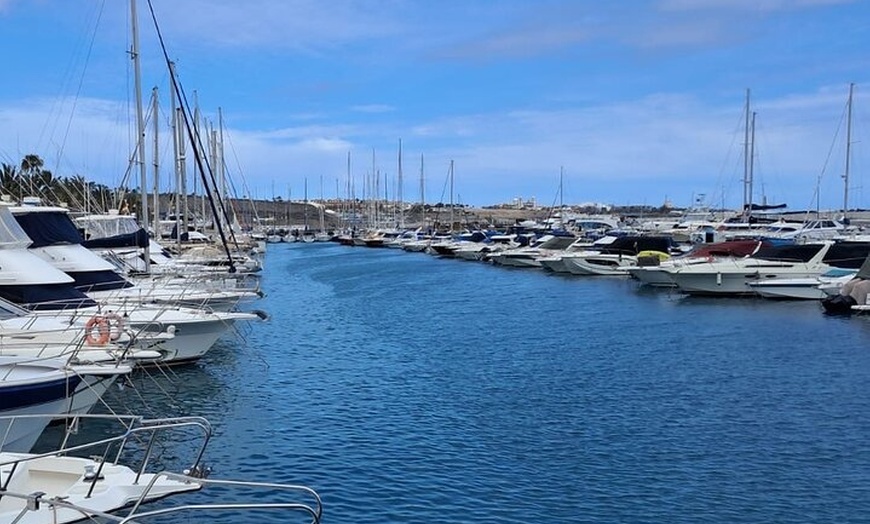 Image 3: Actividad de avistamiento de delfines al atardecer en Gran Canaria